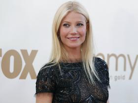 Фото актёра Гвинет Пэлтроу