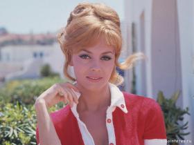 Фото актёра Мишель Мерсье